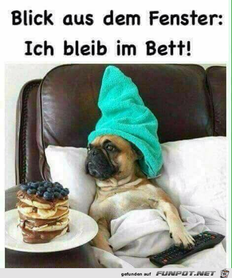 Ich bleib im Bett