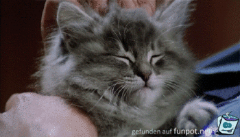 Immer weiter so Immer weiter so