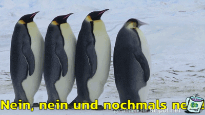Nein nein nein Nein nein nein