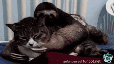 Sei jetzt still Sei jetzt still