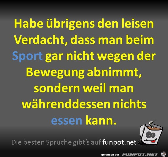 Sport Sport