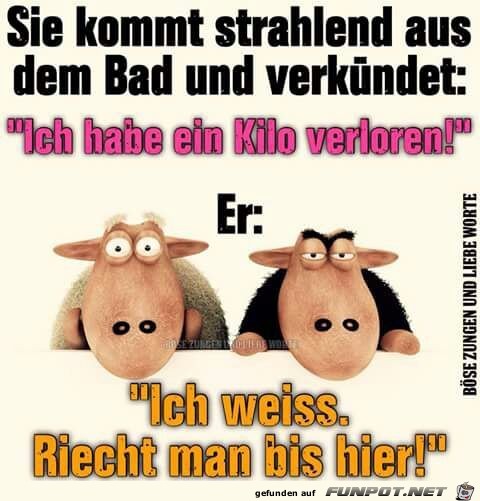 Freudige Verkündung Freudige Verkündung