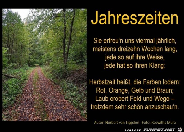 Jahreszeiten Herbst 2017