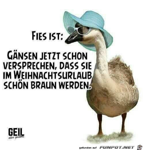 Echt fies Echt fies