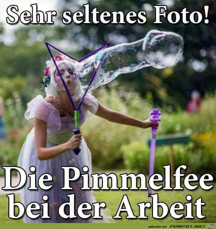 Sehr seltenes Foto Sehr seltenes Foto