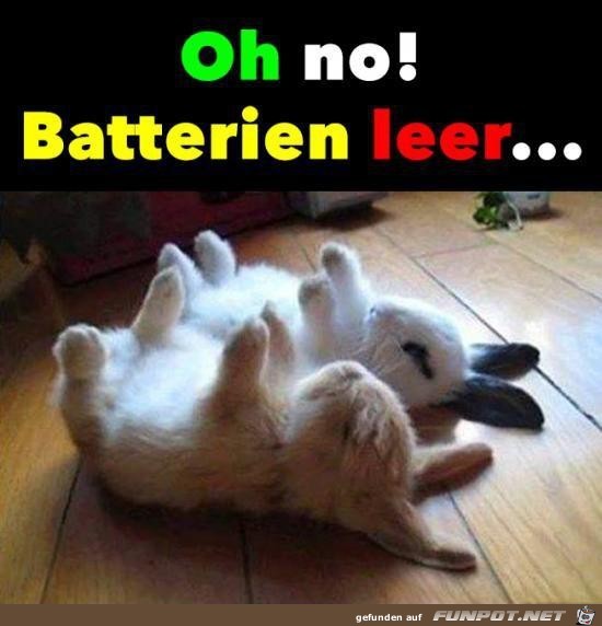 Batterien leer Batterien leer