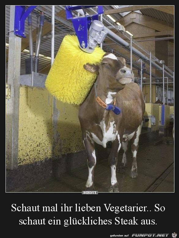 Letztens im Kuhstall Letztens im Kuhstall