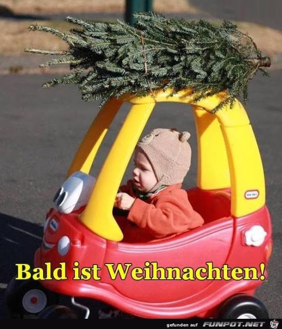 bald ist Weihnachten....