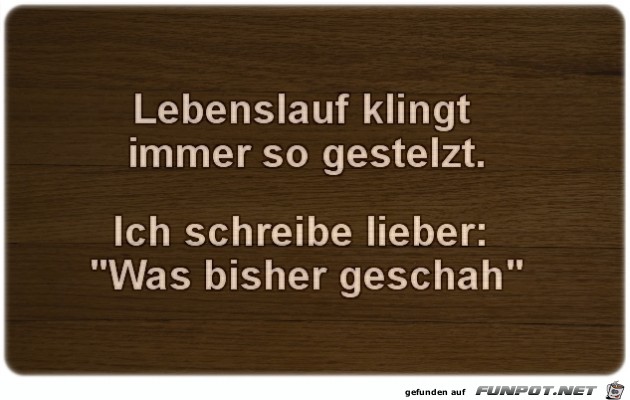 Lebenslauf Lebenslauf