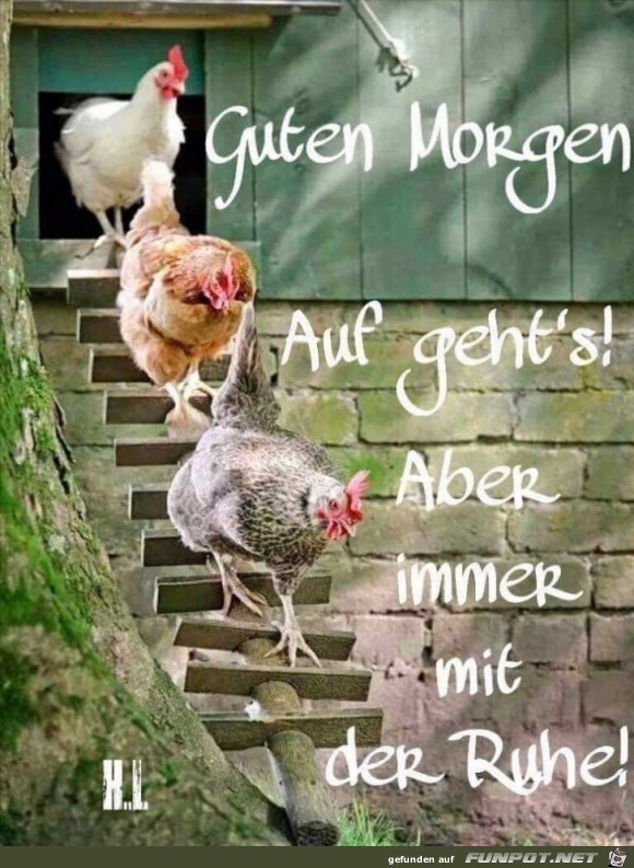 Guten Morgen