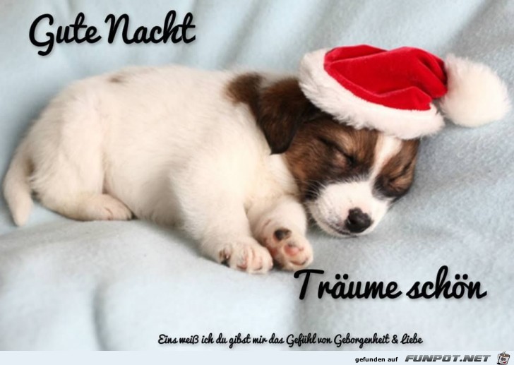 Gute Nacht Gute Nacht