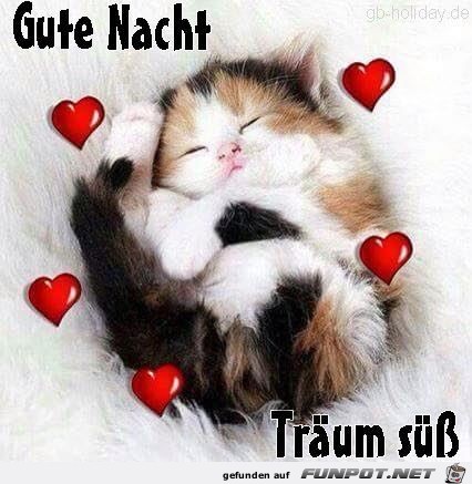 Träum schön Träum schön
