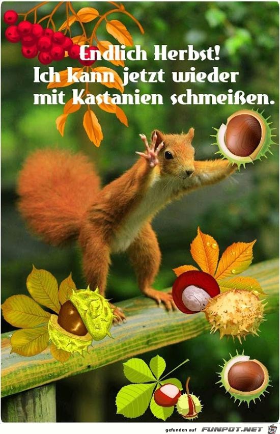 endlich Herbst....... endlich Herbst.......