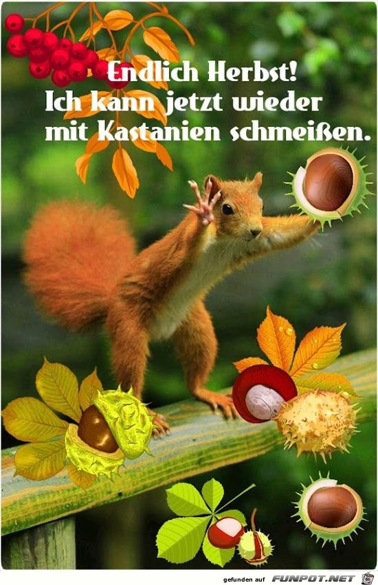 endlich Herbst.......