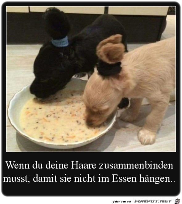 Wenn du deine Haare..