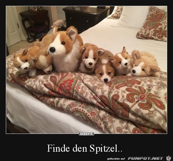 Wo ist der Spitzel