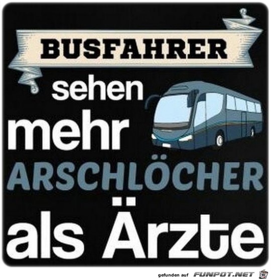 Bussfahrer Bussfahrer
