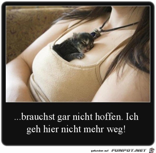 Niedlich Niedlich