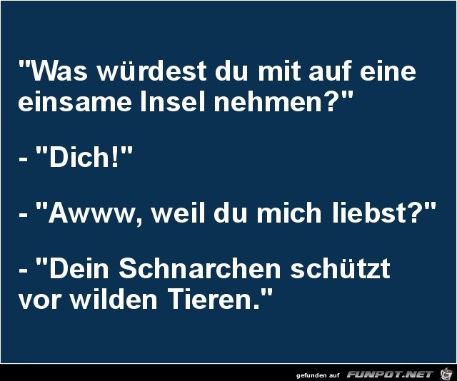 was wrdest du mit auf eine einsame Insel nehmen?.......