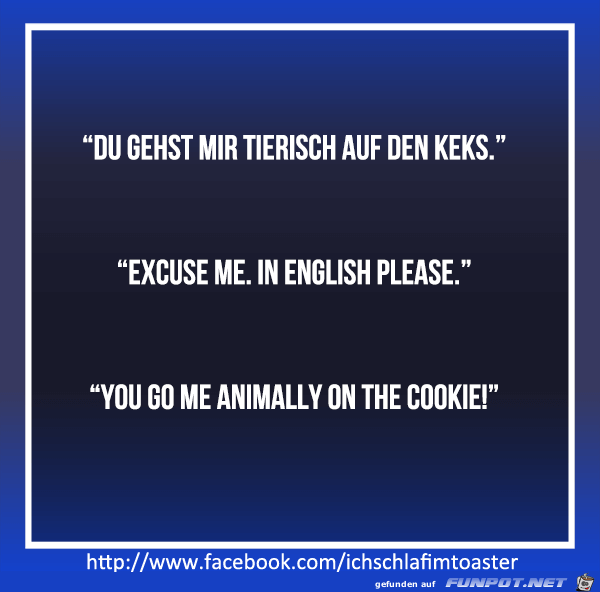 in English please in English please