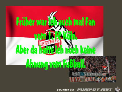 Fussballfan Fussballfan