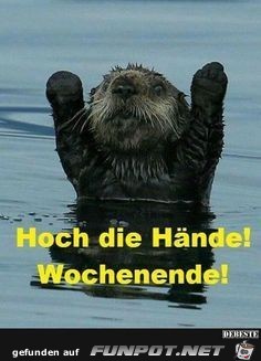 Hoch die Hände Hoch die Hände