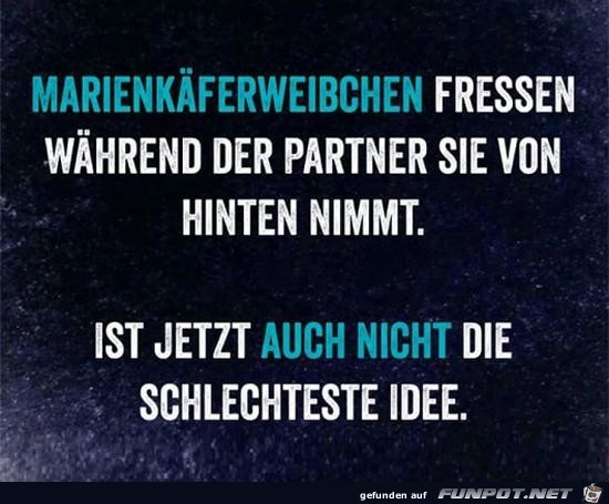 Keine schlechte Idee Keine schlechte Idee