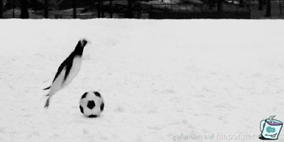 Fußball-Pinguin Fußball-Pinguin