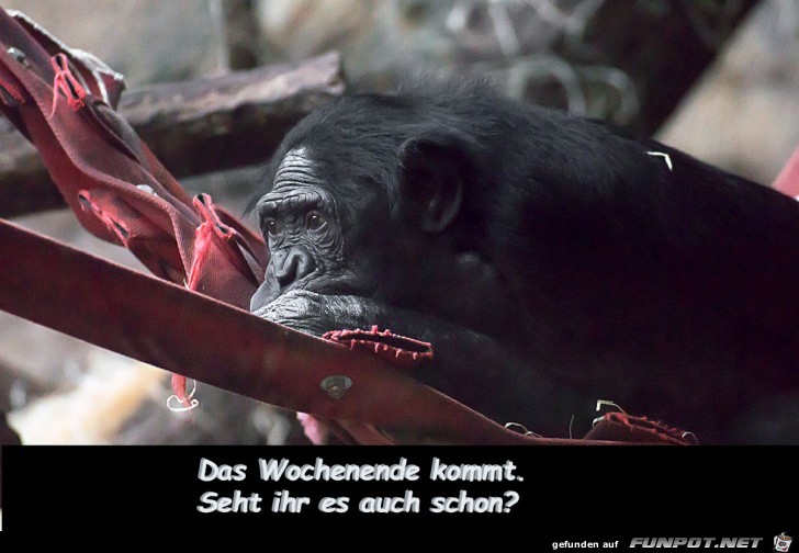 Wochenende Wochenende