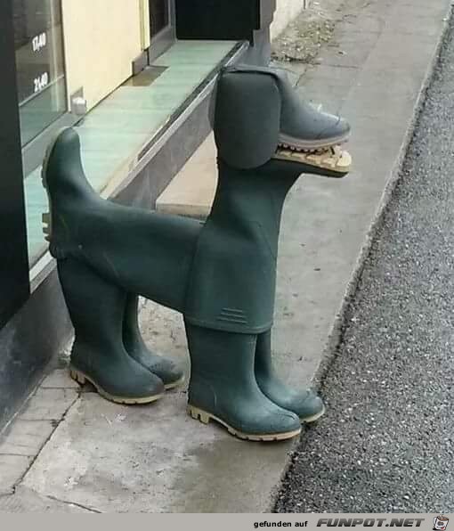 Gummistiefel-Hund