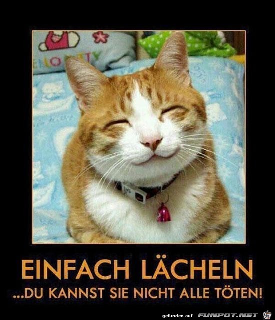 Lächeln Lächeln