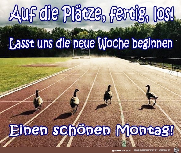 Montag Montag