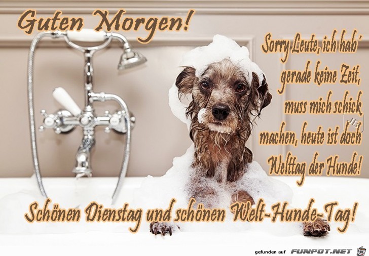 Dienstag Dienstag