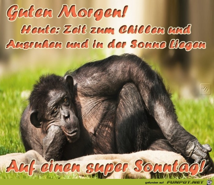 Sonntag Sonntag