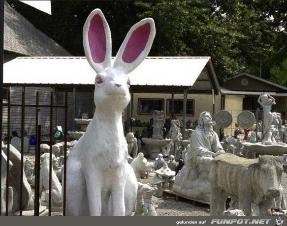 Fails-im-Hintergrund-13 Fails-im-Hintergrund-13