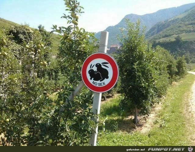 Verboten Verboten