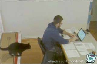 Und zack Und zack