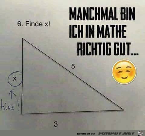 Ein Mathe-Genie Ein Mathe-Genie