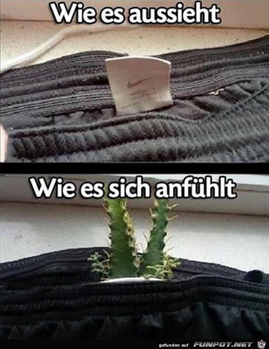 Genau so ist es Genau so ist es