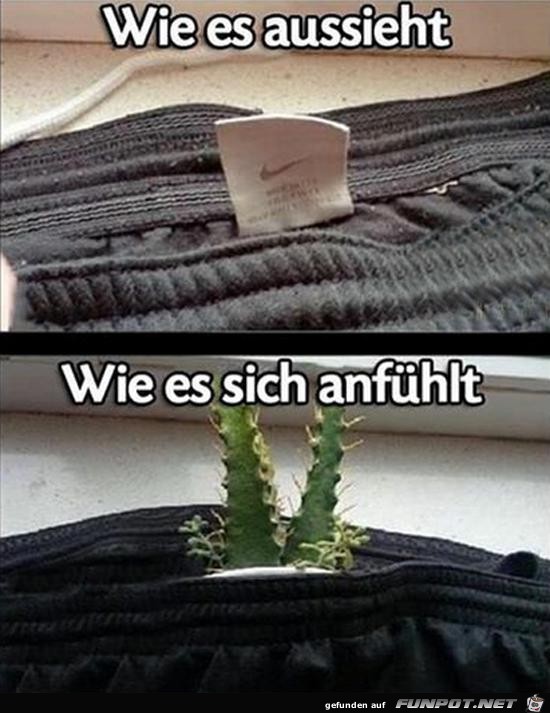 Genau so ist es