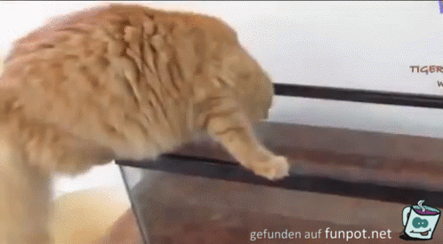 Das geschieht ihr recht Das geschieht ihr recht