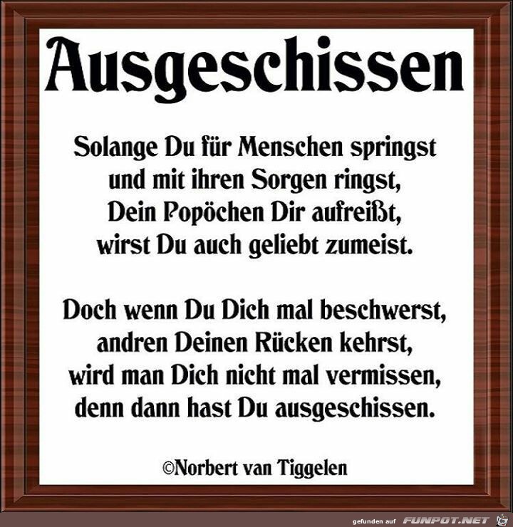 Ausgeschissen