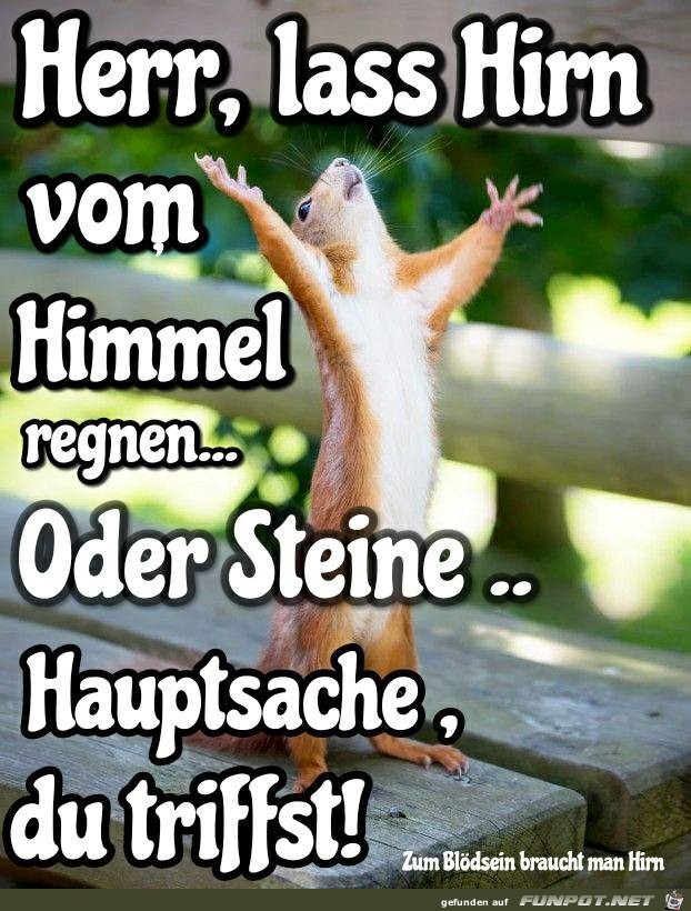 Lass Hirn regnen Lass Hirn regnen