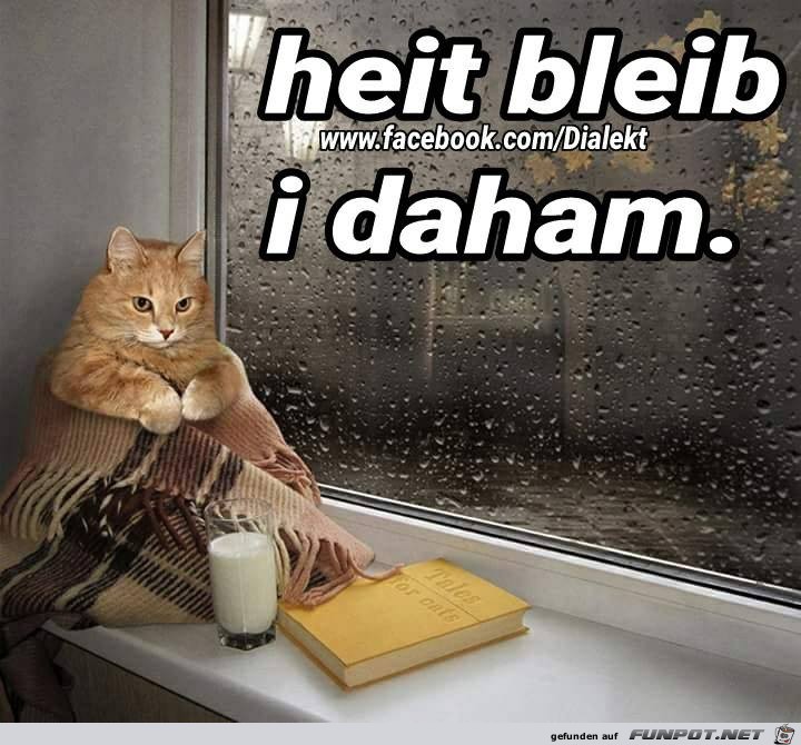 Heit bleib ich daham Heit bleib ich daham