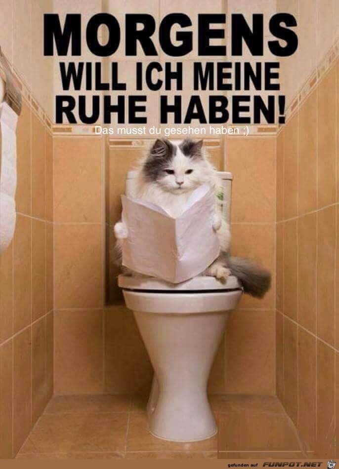 Meine Ruhe Meine Ruhe