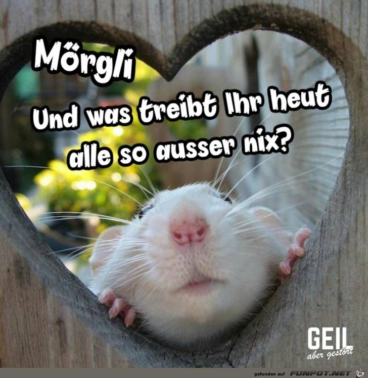 Moergli