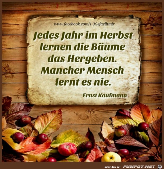 Jedes Jahr im Herbst