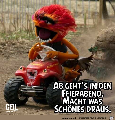 Ab gehts Ab gehts