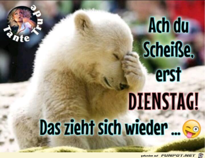 Dienstag Dienstag