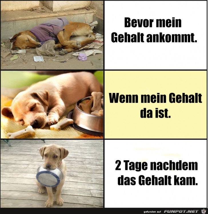 Wenn das Gehalt kommt Wenn das Gehalt kommt